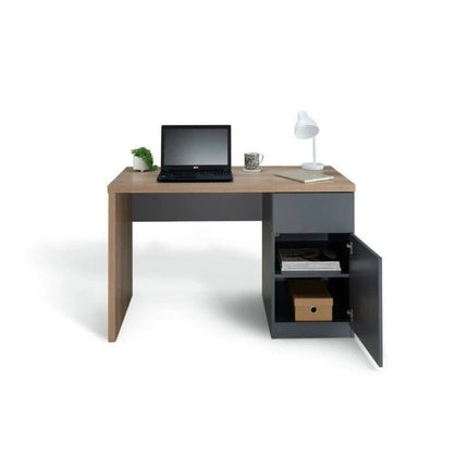 Arlon Pedestal Desk Dark Grey with Nash Oak - Outlet Online UK